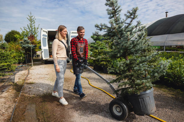 Best Dead Tree Removal  in Deming, NM